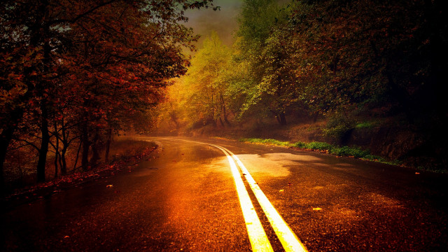 Autumn road trees sunset starry free wallpaper for desktop - medium preview image