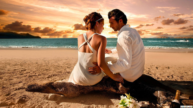 Man woman beach sunset log free wallpaper for desktop - medium preview image