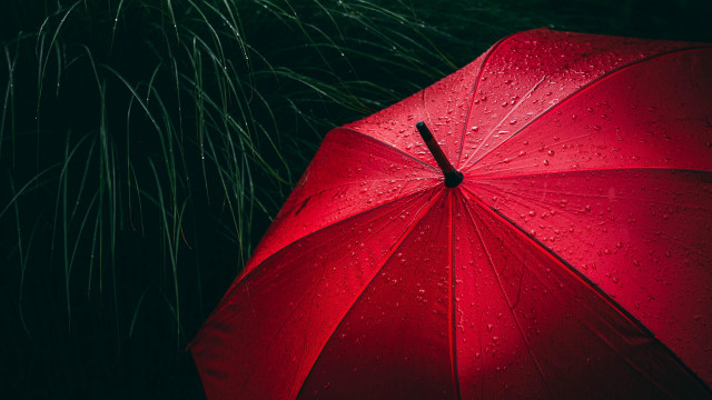 Red umbrella night fireflies stars free wallpaper for desktop - medium preview image