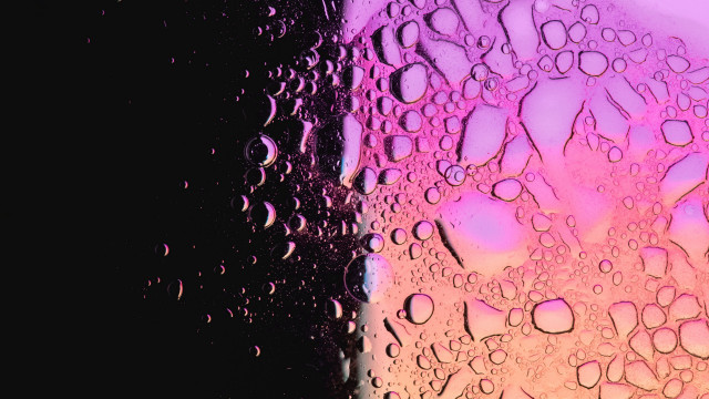 Water drops cherry blossoms night free wallpaper for desktop - medium preview image