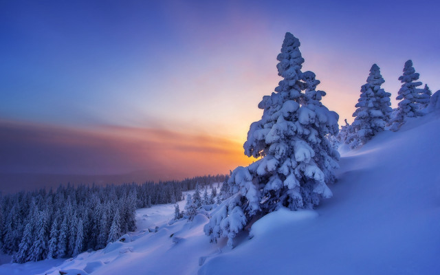Snowy mountain trees sunset winter free wallpaper for desktop - medium preview image