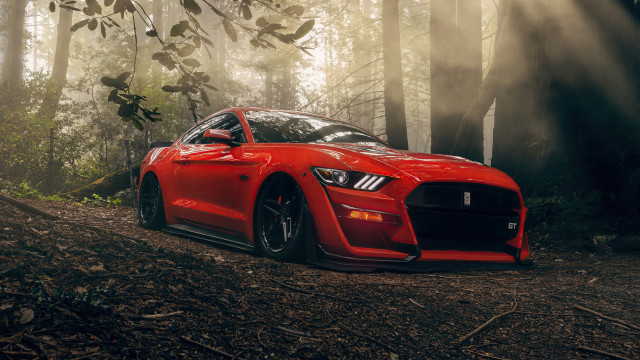 Red sports car woods sunbeams free wallpaper for desktop - medium preview image