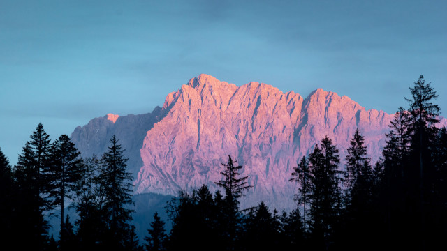 Mountain pink light trees blue free wallpaper for desktop - medium preview image