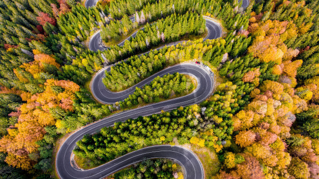 Winding road autumn leaves nature free wallpaper for desktop - medium preview image