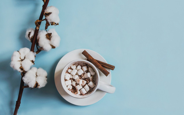 Hot chocolate marshmallows cinnamon branch free wallpaper for desktop - medium preview image
