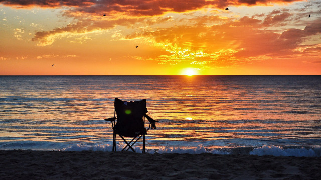 Beach sunset chair bird water free wallpaper for desktop - medium preview image