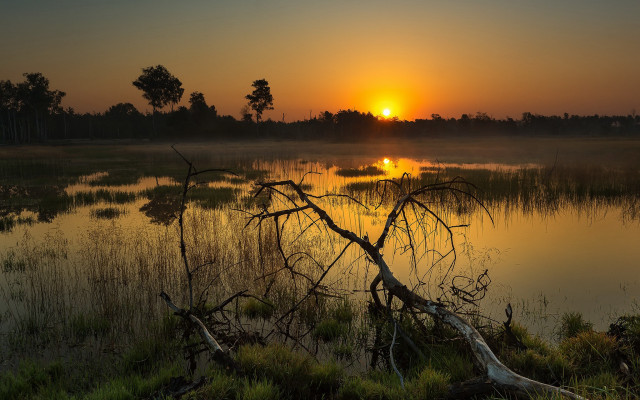 Sunset lake dead tree bushes free wallpaper for desktop - medium preview image