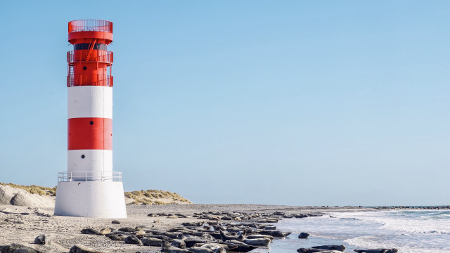 Lighthouse rocky beach seagulls ocean free wallpaper for desktop - medium preview image