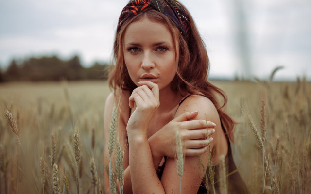 Woman wheat field serious portrait free wallpaper for desktop - medium preview image