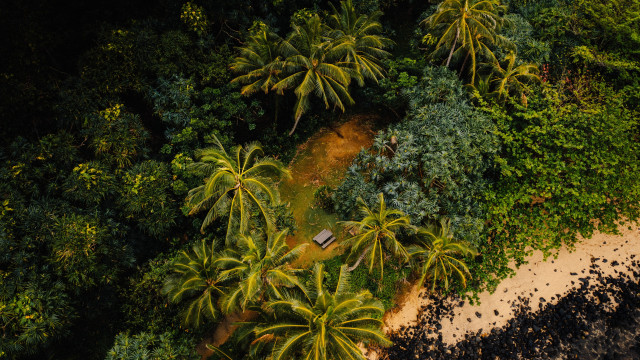 Beach boat trees bushes sand free wallpaper for desktop - medium preview image