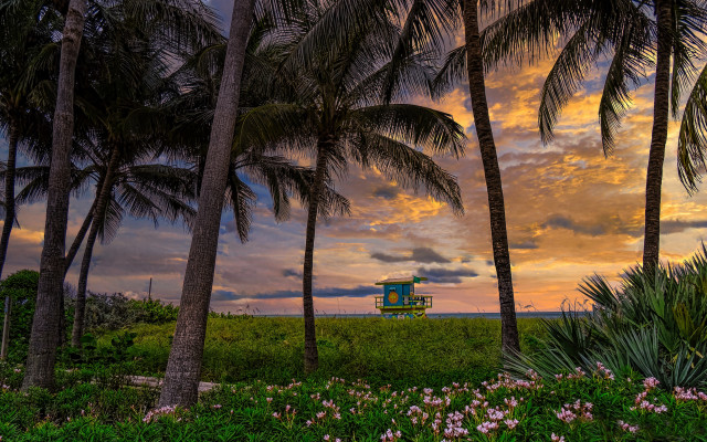 Sunset palm trees lifeguard tower free wallpaper for desktop - medium preview image