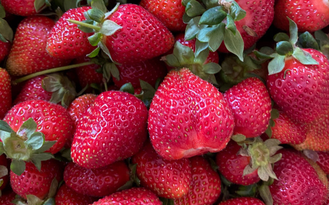 Strawberries leaves water droplets closeup free wallpaper for desktop - medium preview image