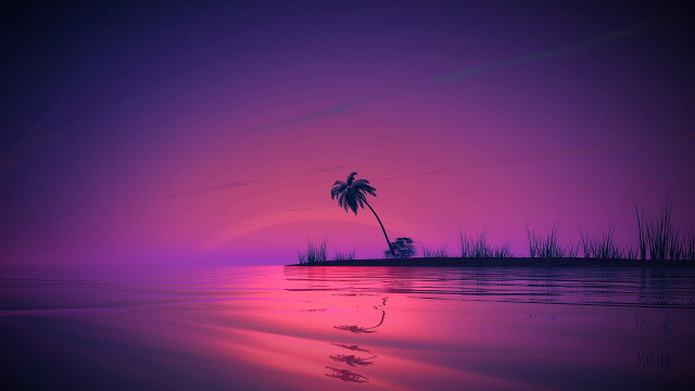 Palm tree sunset water reeds free wallpaper for desktop - medium preview image