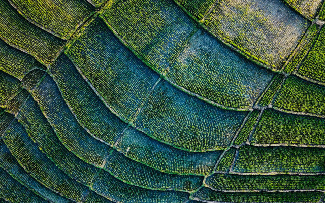 Green plant leaves blue sky #2 free wallpaper for desktop - medium preview image