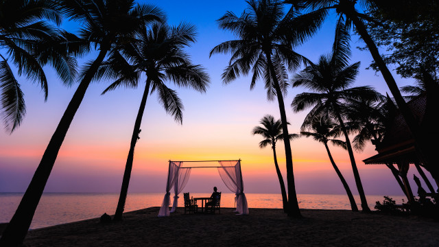 Beach sunset palm trees ocean free wallpaper for desktop - medium preview image
