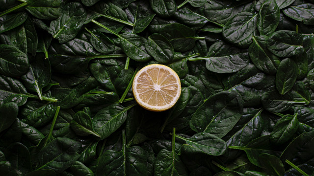 Lemon on leaves green nature free wallpaper for desktop - medium preview image