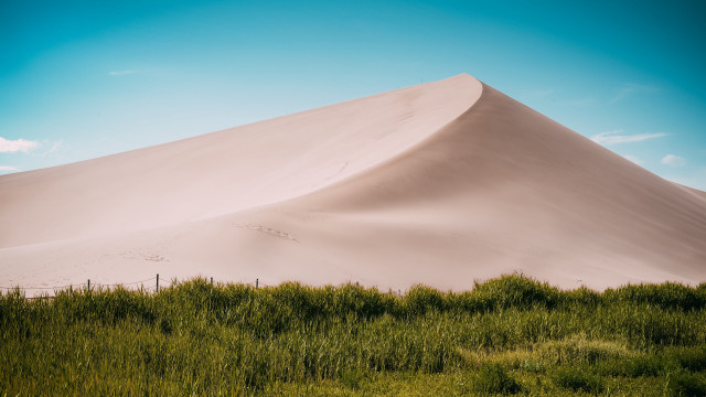 Sand dune grass bushes tilt free wallpaper for desktop - medium preview image