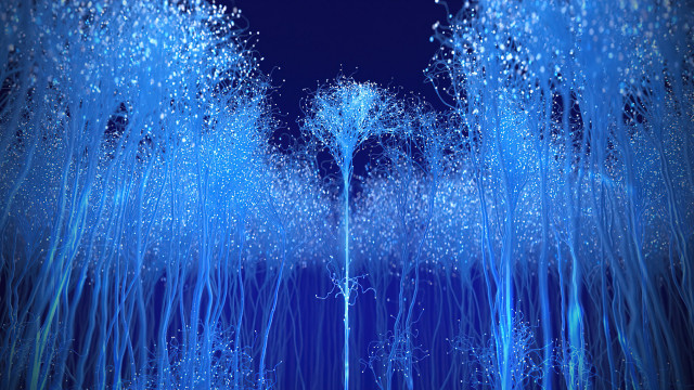 Blue forest sky fireworks moon free wallpaper for desktop - medium preview image