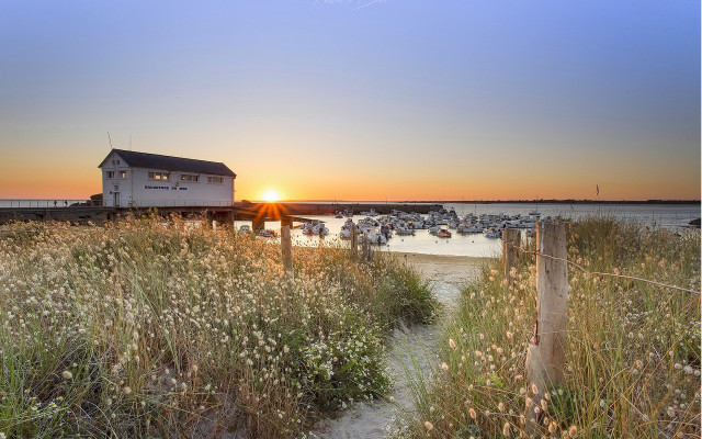 Beach house sunset fence flowers free wallpaper for desktop - medium preview image