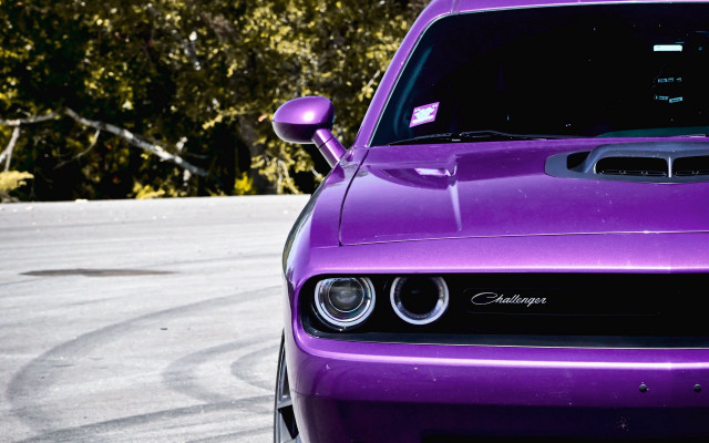 Purple car parking lot trees free wallpaper for desktop - medium preview image