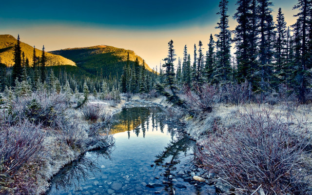 Sunset forest stream mountains bushes free wallpaper for desktop - medium preview image