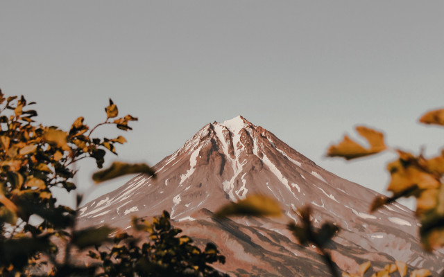 Mountain snowcap forest autumn tiltshift free wallpaper for desktop - medium preview image