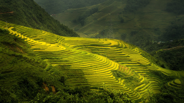 Green field mountain trees ecological free wallpaper for desktop - medium preview image