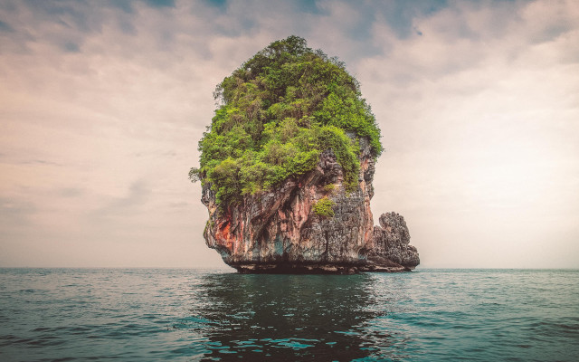 Small island tree boat lake free wallpaper for desktop - medium preview image