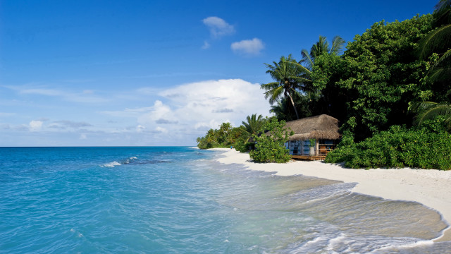 Beach hut shore water trees free wallpaper for desktop - medium preview image