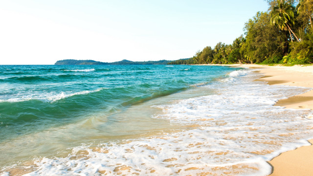 Australian impressionist beach mountain trees free wallpaper for desktop - medium preview image
