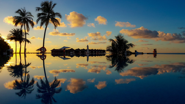 Sunset reflecting lake palm trees free wallpaper for desktop - medium preview image