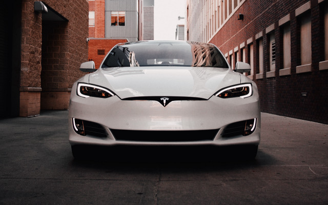 White car brick wall dog free wallpaper for desktop - medium preview image