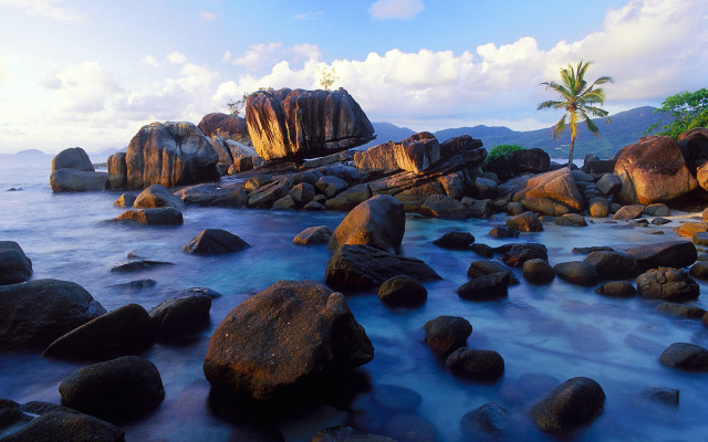 Rocky beach palm shore blue free wallpaper for desktop - medium preview image