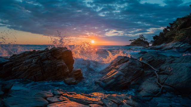 Sunset rocky beach waves tree free wallpaper for desktop - medium preview image