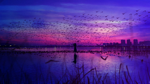 Birds water sunset city purple free wallpaper for desktop - medium preview image