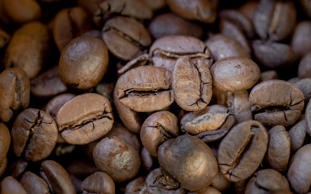 Coffee beans pile hyperrealism shallow free wallpaper for desktop - medium preview image