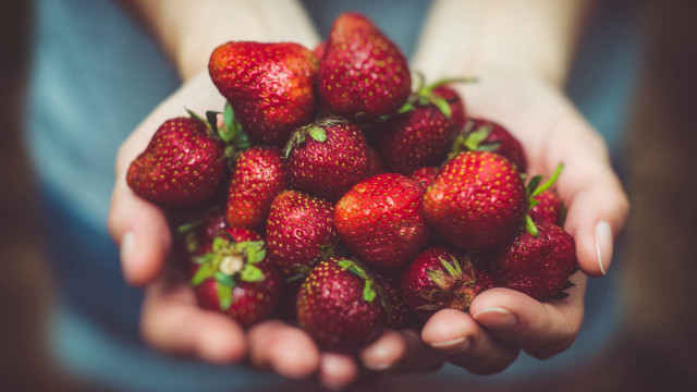 Strawberry hands blurry background food free wallpaper for desktop - medium preview image