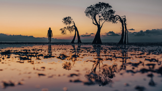 Water reflection sunset silhouette trees free wallpaper for desktop - medium preview image