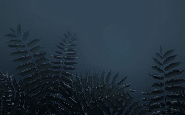 Dark blue leaves bamboo forest free wallpaper for desktop - medium preview image