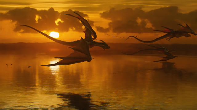 Birds flying over lake sunset free wallpaper for desktop - medium preview image