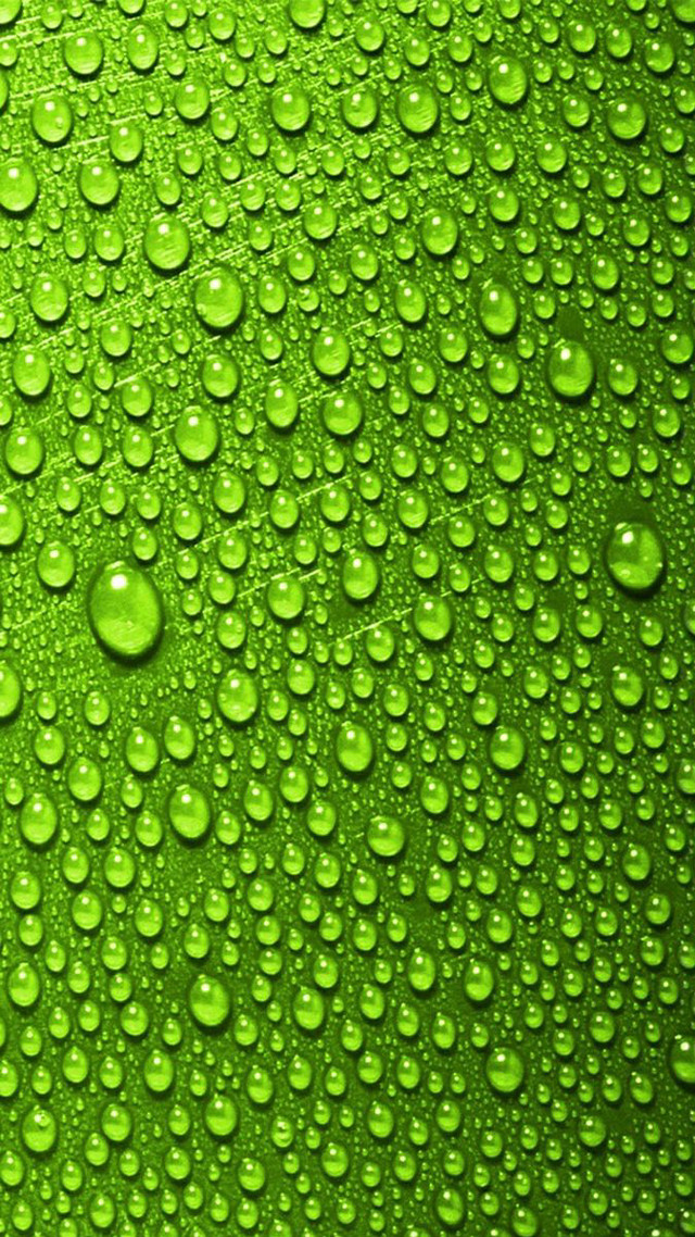 Green background water drops photo free wallpaper for mobile - medium preview image