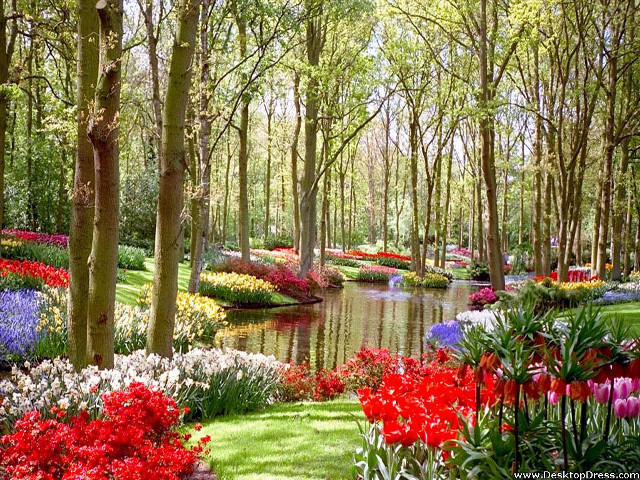 Garden pond trees flowers nature free wallpaper for desktop - medium preview image
