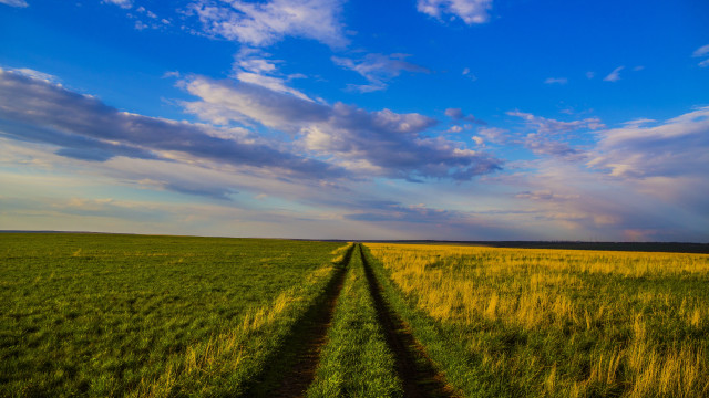 Field clouds horizon grass sunset free wallpaper for desktop - medium preview image