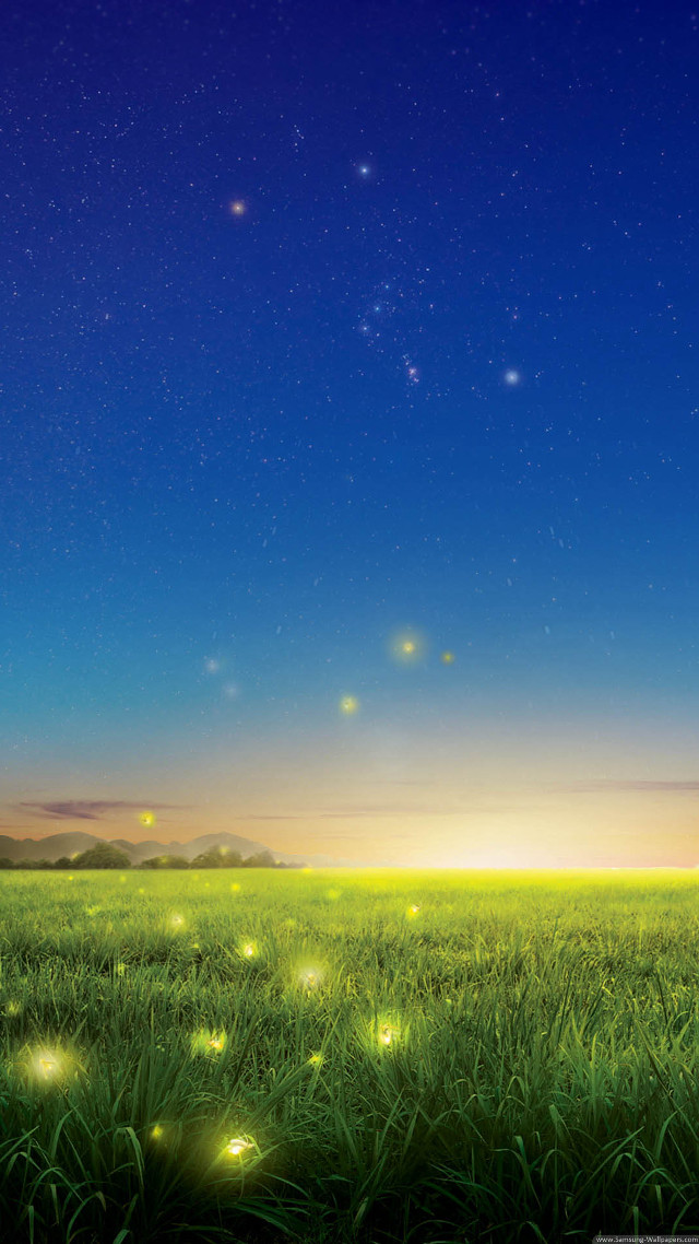 Field grass fireflies night stars free wallpaper for mobile - medium preview image