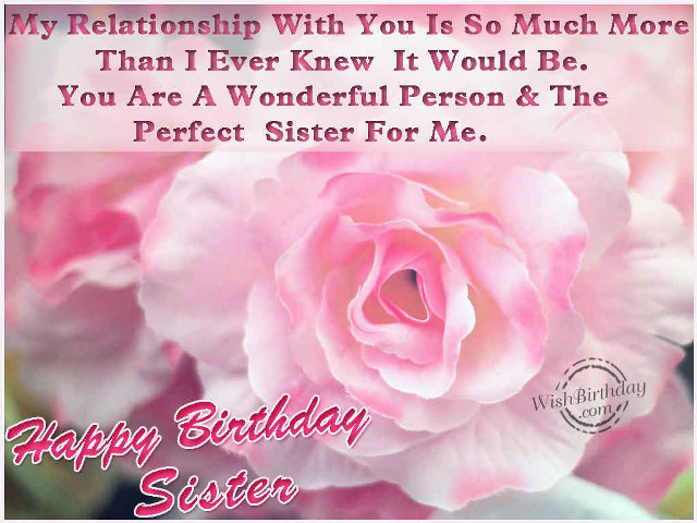 Pink rose happy birthday message free wallpaper for desktop - medium preview image