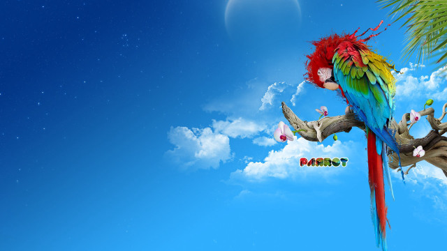 Colorful parrot palm tree blue free wallpaper for desktop - medium preview image