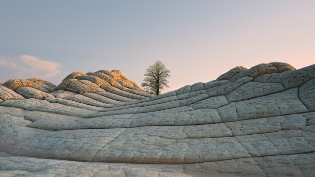 Rock formation tree clouds sunset free wallpaper for desktop - medium preview image