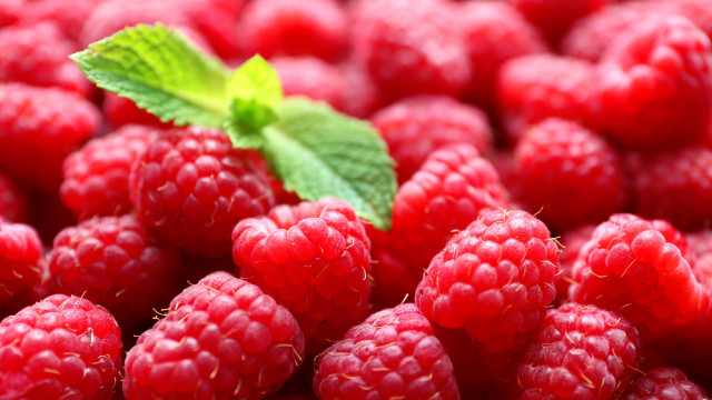Raspberries leaf closeup berry blood free wallpaper for desktop - medium preview image
