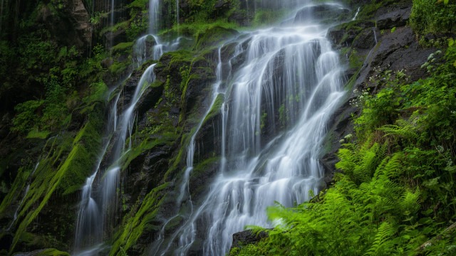 Waterfall green forest nature light free wallpaper for desktop - medium preview image