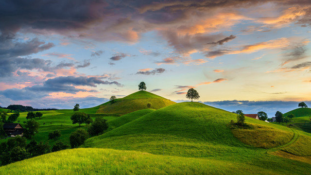 Green hill tree sunset clouds free wallpaper for desktop - medium preview image